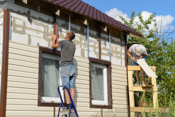 Best Custom Siding Design  in Corona De Tucson, AZ