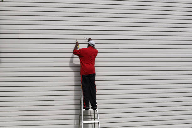 Best Siding Removal and Disposal  in Corona De Tucson, AZ