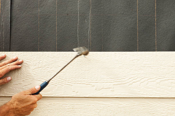 Best Aluminum Siding Installation  in Corona De Tucson, AZ